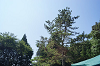 camp27 (129)_thumb.png